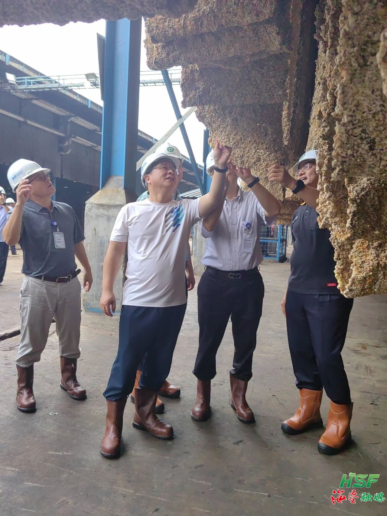包洪文一行調(diào)研合盛農(nóng)業(yè)SGO加工廠。